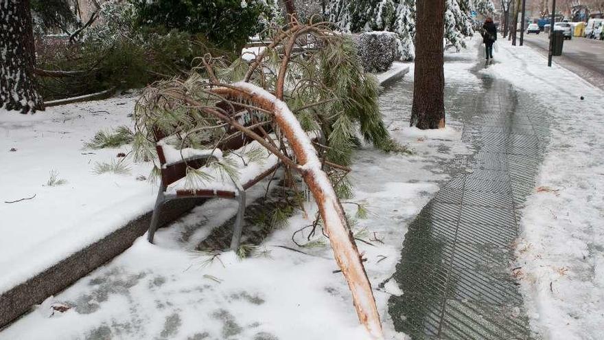 Temporal de nieve a finales del mes de febrero.