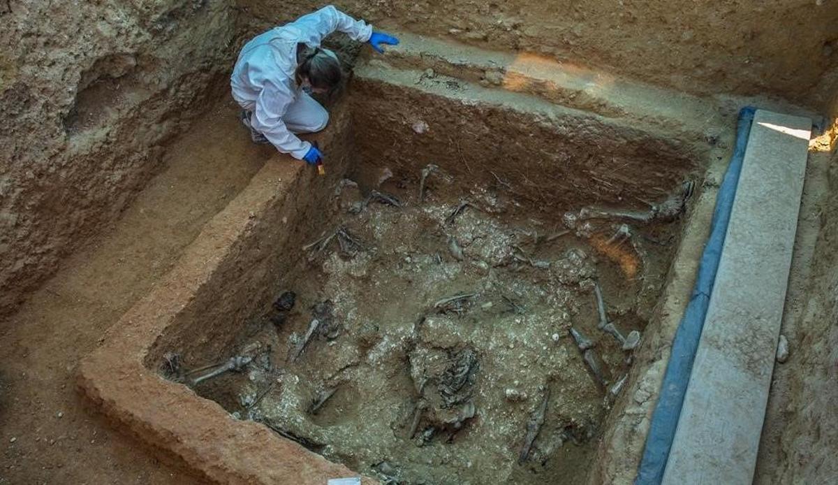 Excavación en la Fosa 113 del complejo de fosas comunes del cementerio de Paterna (Valencia)
