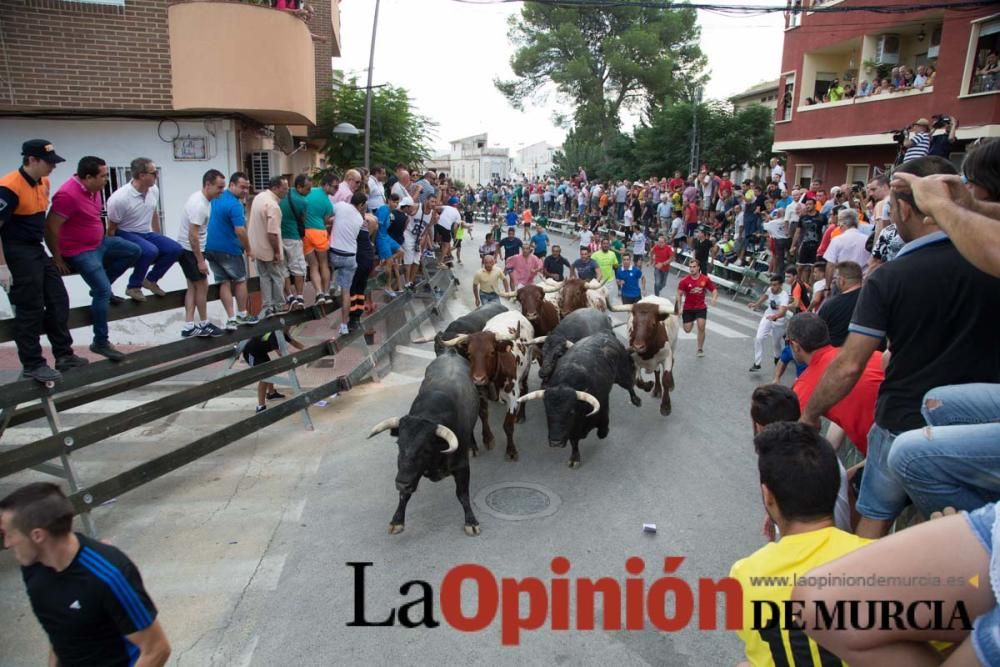 Quinto encierro en Calasparra