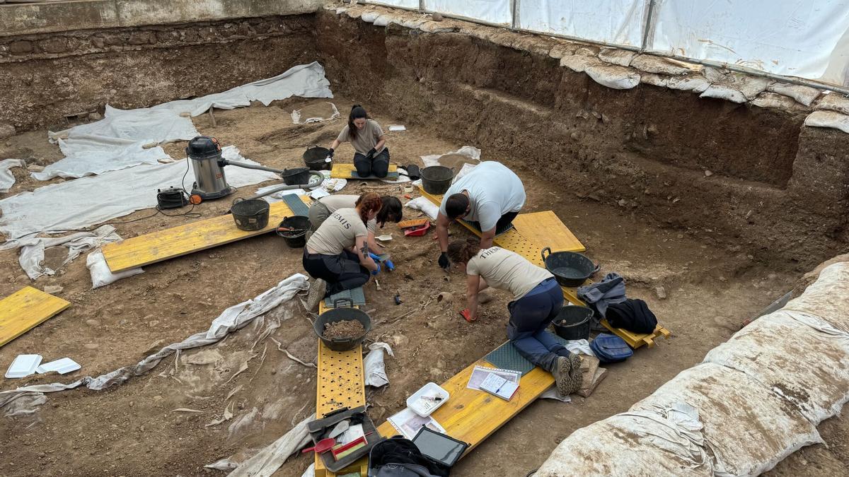 Trabajos de exhumación en el cementerio de La Salud de Córdoba en aplicación de la ley de memoria histórica.