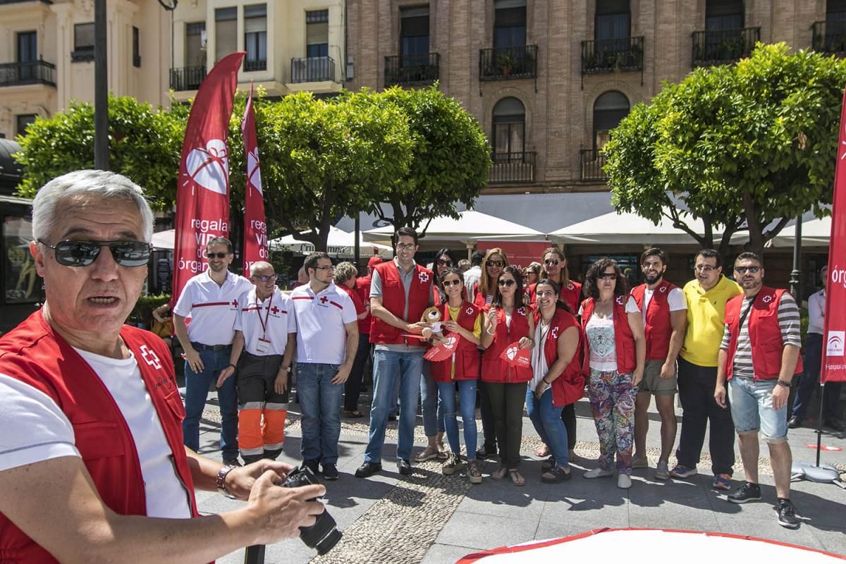 Fotogalería / Semana del Donante del hospital Reina Sofía