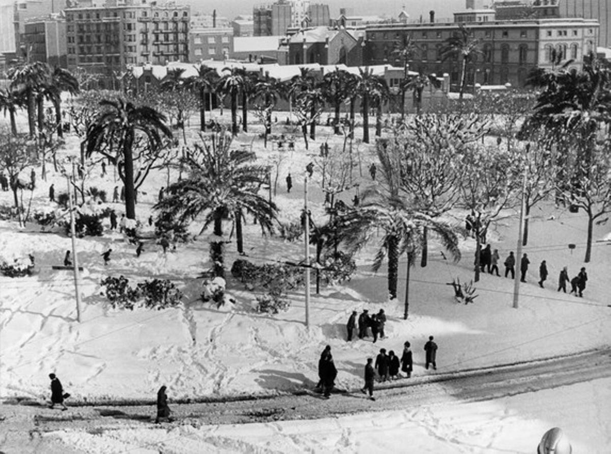 La neu va tenyir de blanc les palmeres de la plaça de Tetuan.