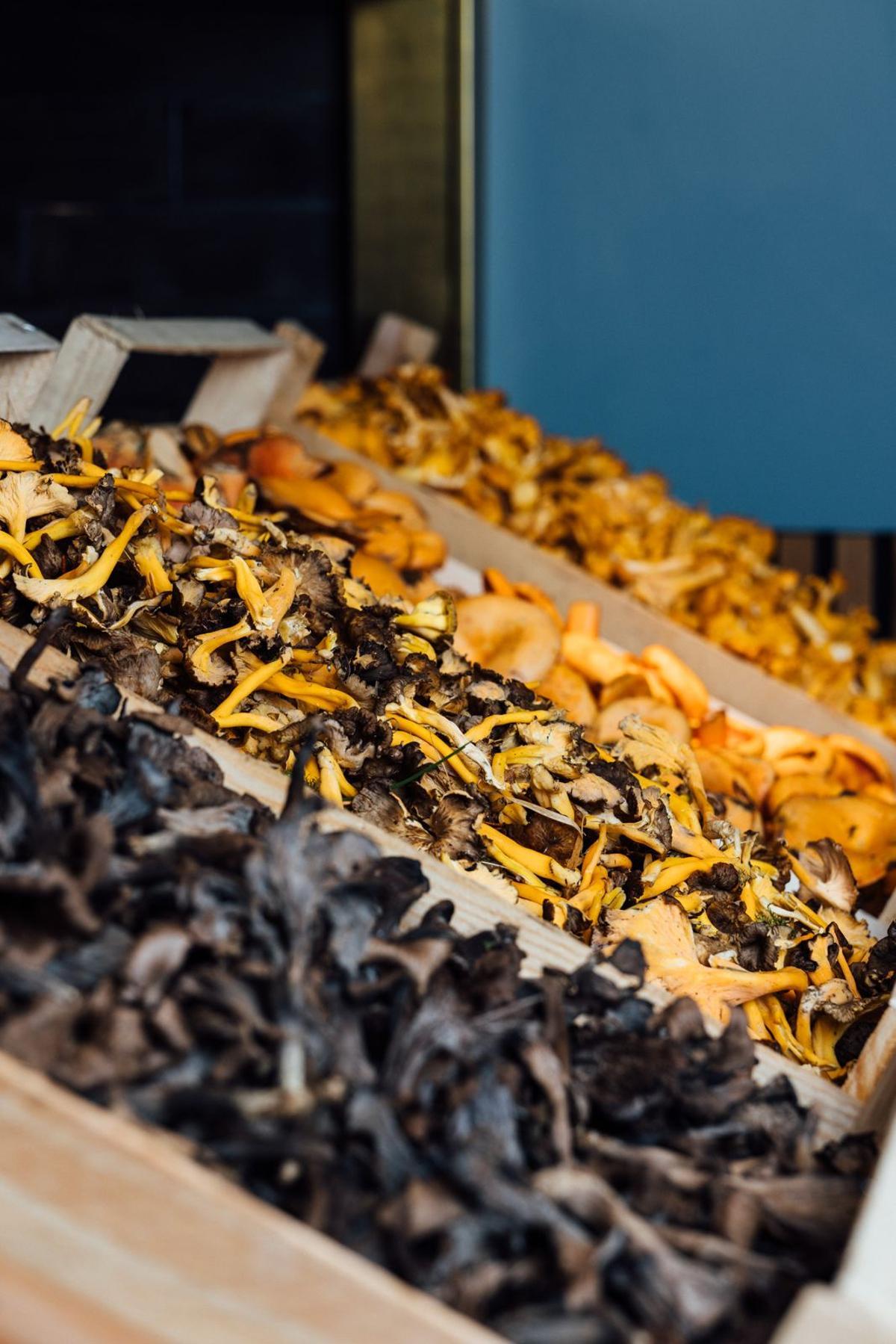 Setas frescas en Barra Alta.