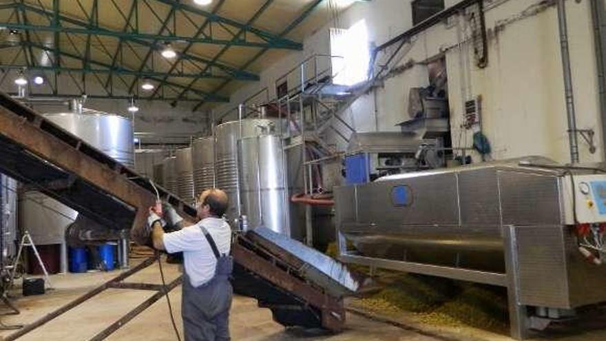 Recepción de uva en una bodega de la DO Tierra del Vino.