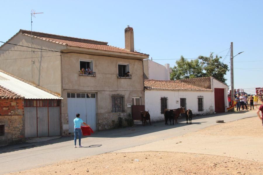 Encierro El Maderal