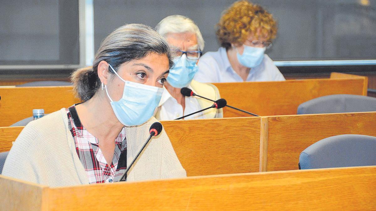 Victoria Portas y Mariano Abalo, detrás, en un pleno