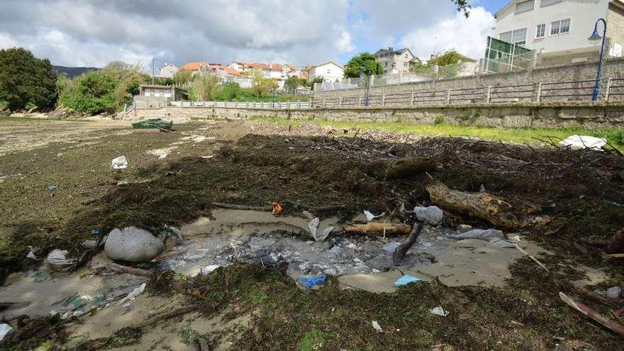 Aspecto que presentaba ayer la playa de Campelo, con maleza y basura cubriendo la arena.  // G. Santos