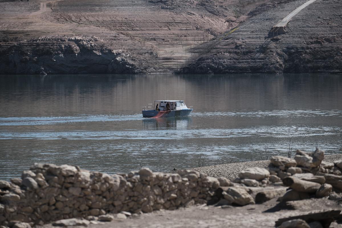 Empieza la retirada de peces del pantano de Sau