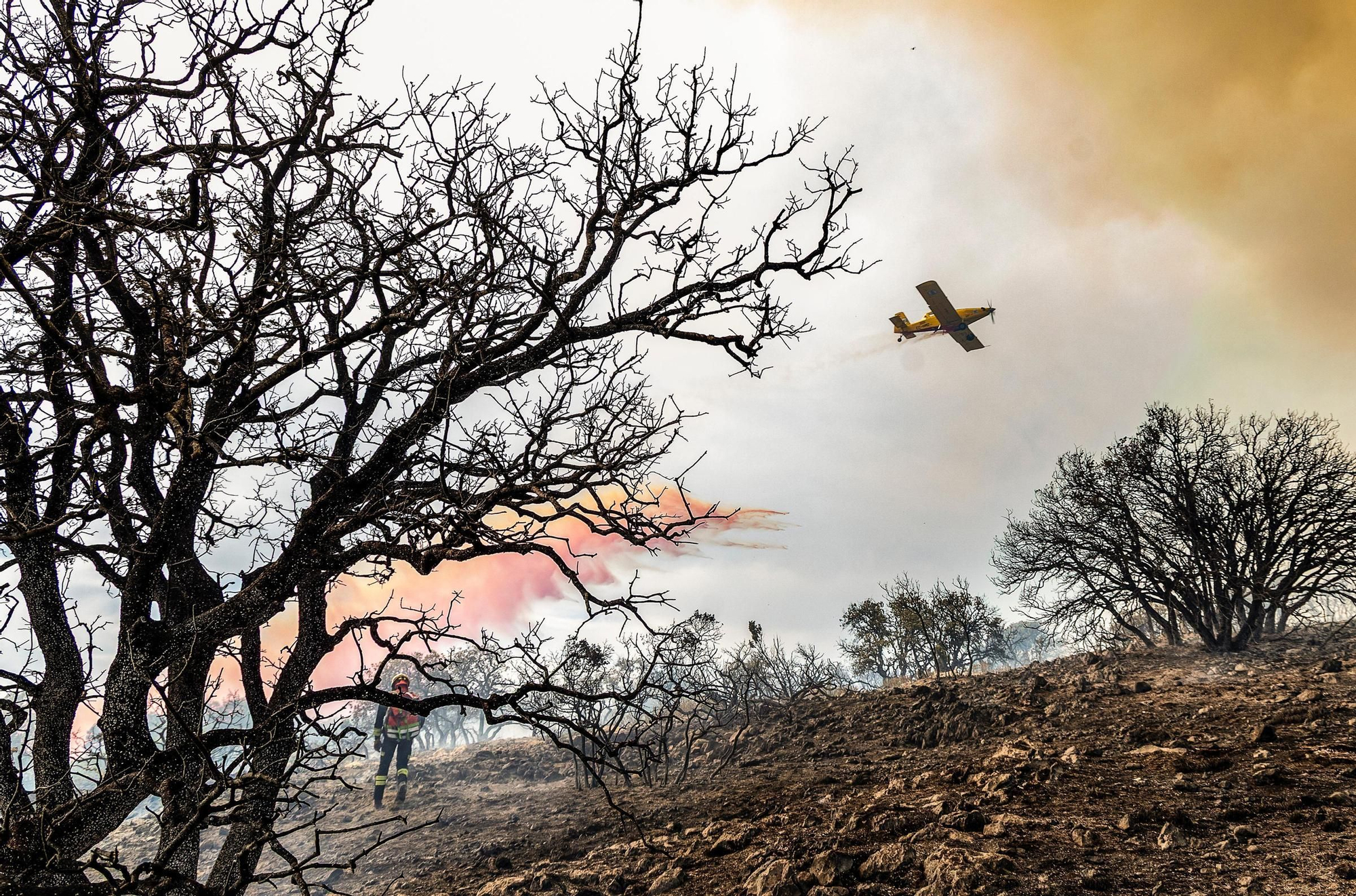 Incendio en el paraje de San Pascual en Ibi