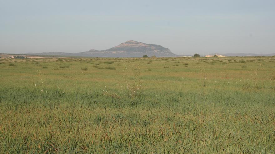 El plan para conservar los espacios protegidos del Altiplano será aprobado el jueves