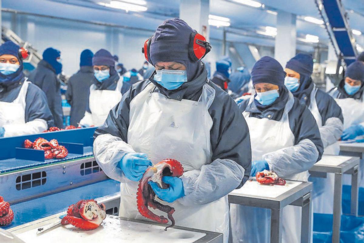 Una línea de producción de Profand.