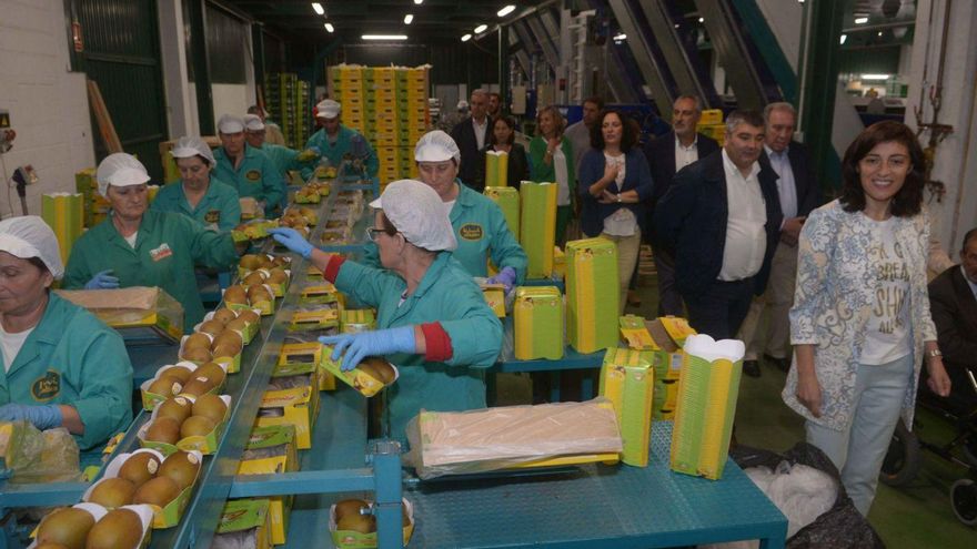Trabajadores en las instalaciones de Kiwi Atlántico de Ribadumia, en una foto de archivo. | Noé Parga