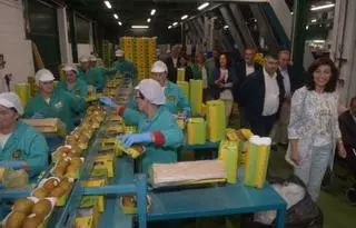 Un protocolo muy estricto para proteger a los trabajadores LGTBIQ+ en la empresa de Kiwi Atlántico
