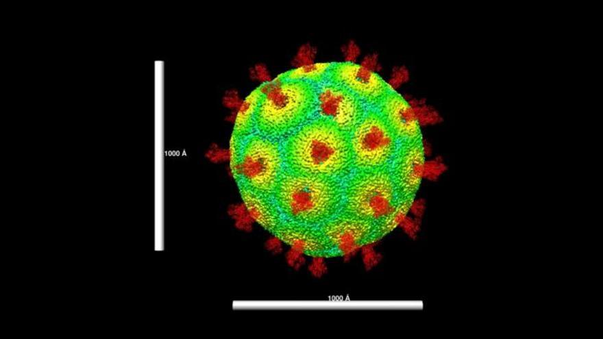 ¿La variante Delta está cambiando los síntomas del coronavirus?