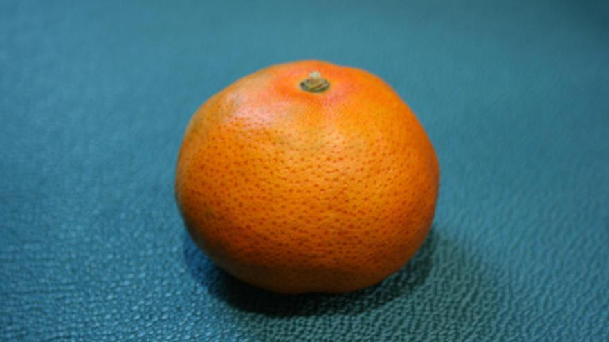 Mandarina Early pride, originaria de Florida (EE UU)
