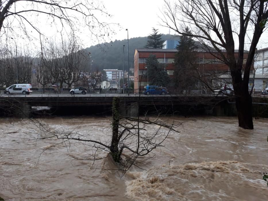 El riu Fluvià al seu pas per Olot