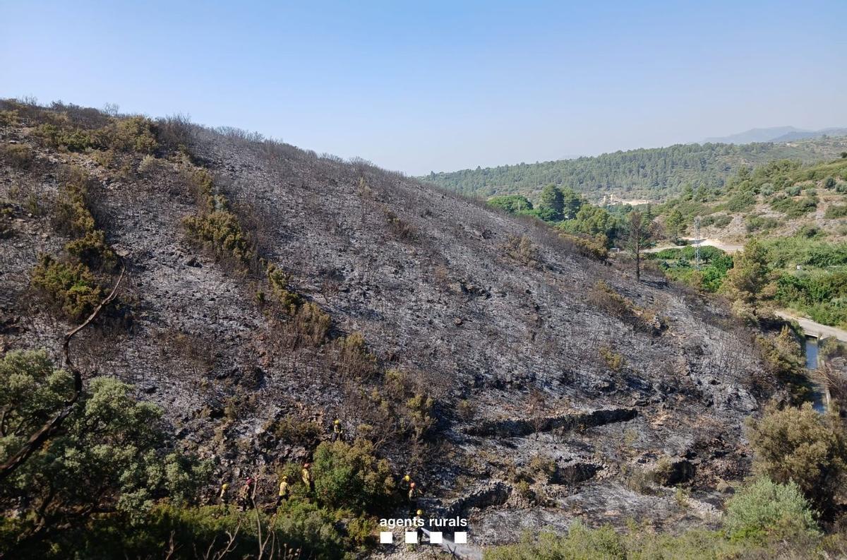 Parte de los terrenos afectados por el incendio de Sant Quirze Safaja.