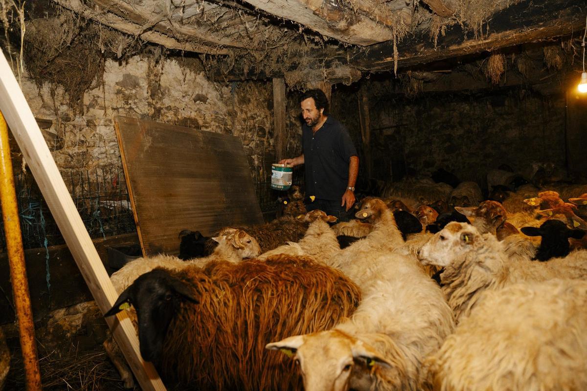 Fernando junto a un rebaño durante el curso de pastoreo en Picos de Europa.