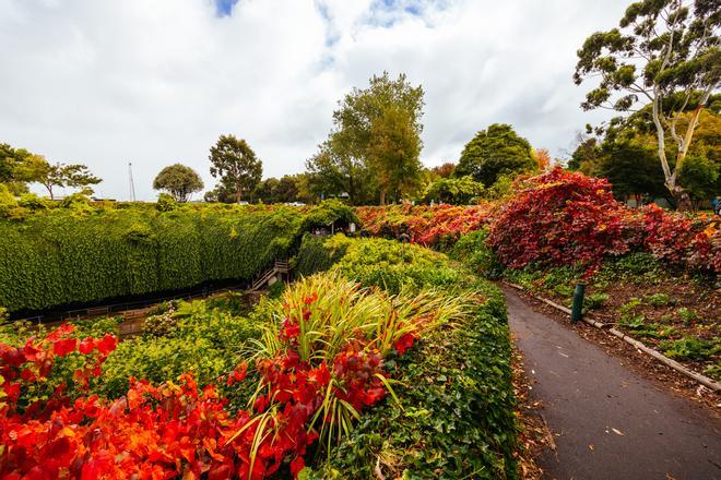 El jardín hundido se encuentra en Monte Gambier.