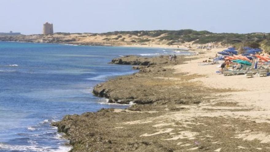 Playa d&#039;es Cavallet