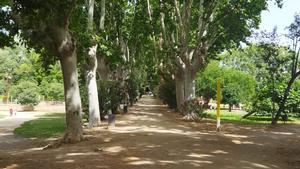 El parque de Can Solei i Ca lArnús de Badalona.