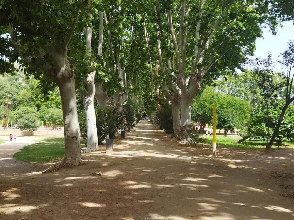 Badalona cierra por la alerta de lluvias su principal parque tras el episodio de riadas en el centro