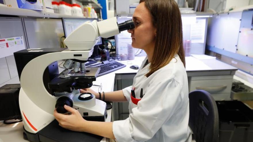 Gemma Jiménez Guerra, en el laboratorio del Hospital Can Misses.