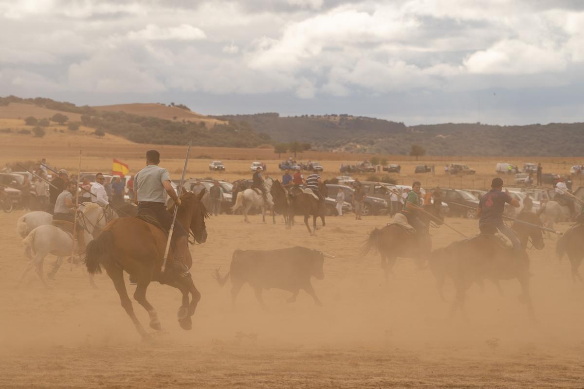 GALERIA | Espantos en Carbajales del sábado, 10 de septiembre GALERIA | Espantos en Carbajales del sábado, 10 de septiembre
