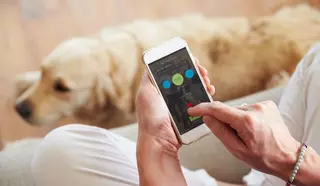 Las mejores aplicaciones móviles para los dueños de perros