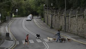 Coches de autoescuela, por el paseo de Santa Madrona, tras superar la curva del Museu Etnològic