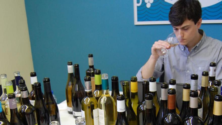 Els vins de la DO Empordà, a examen