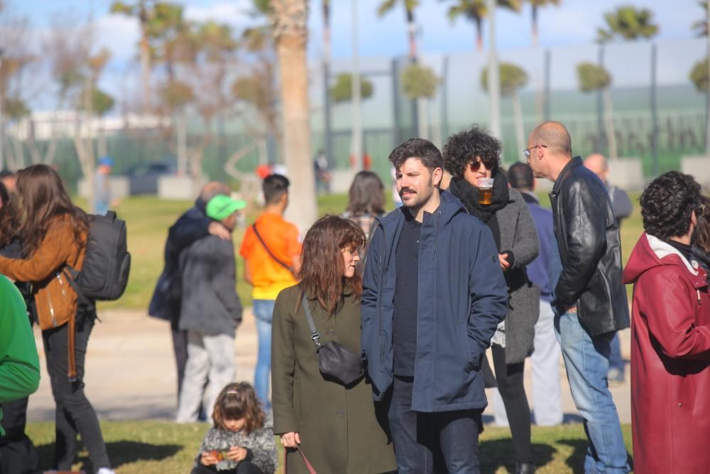 Conciertos en la Pérgola de La Marina