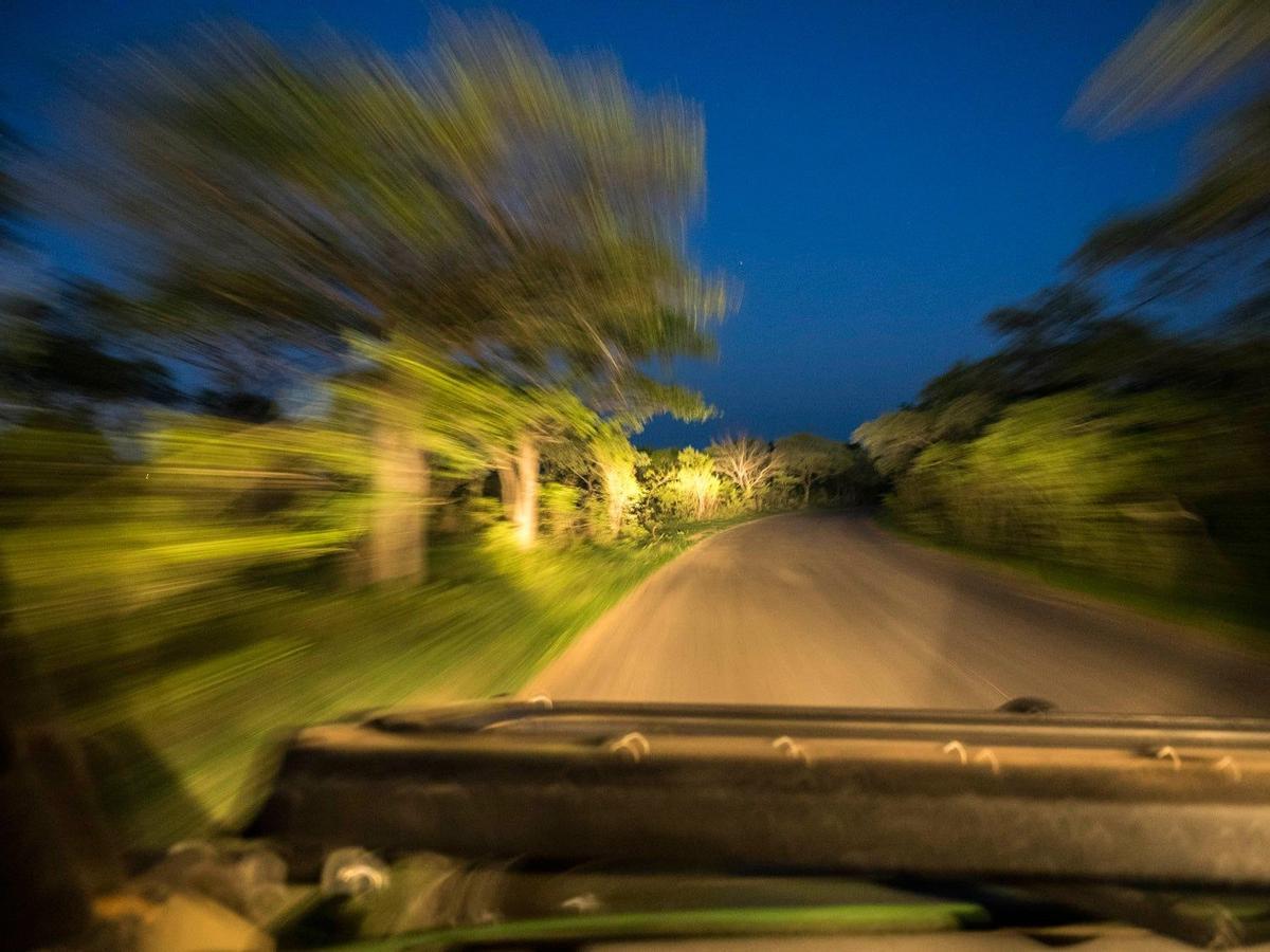 Safari nocturno en el Parque Kruger