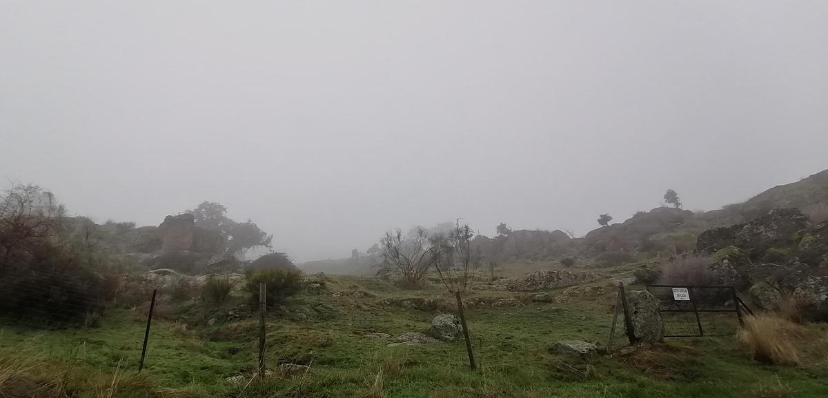 Fotogalería | Mañana de niebla en el norte de Cáceres