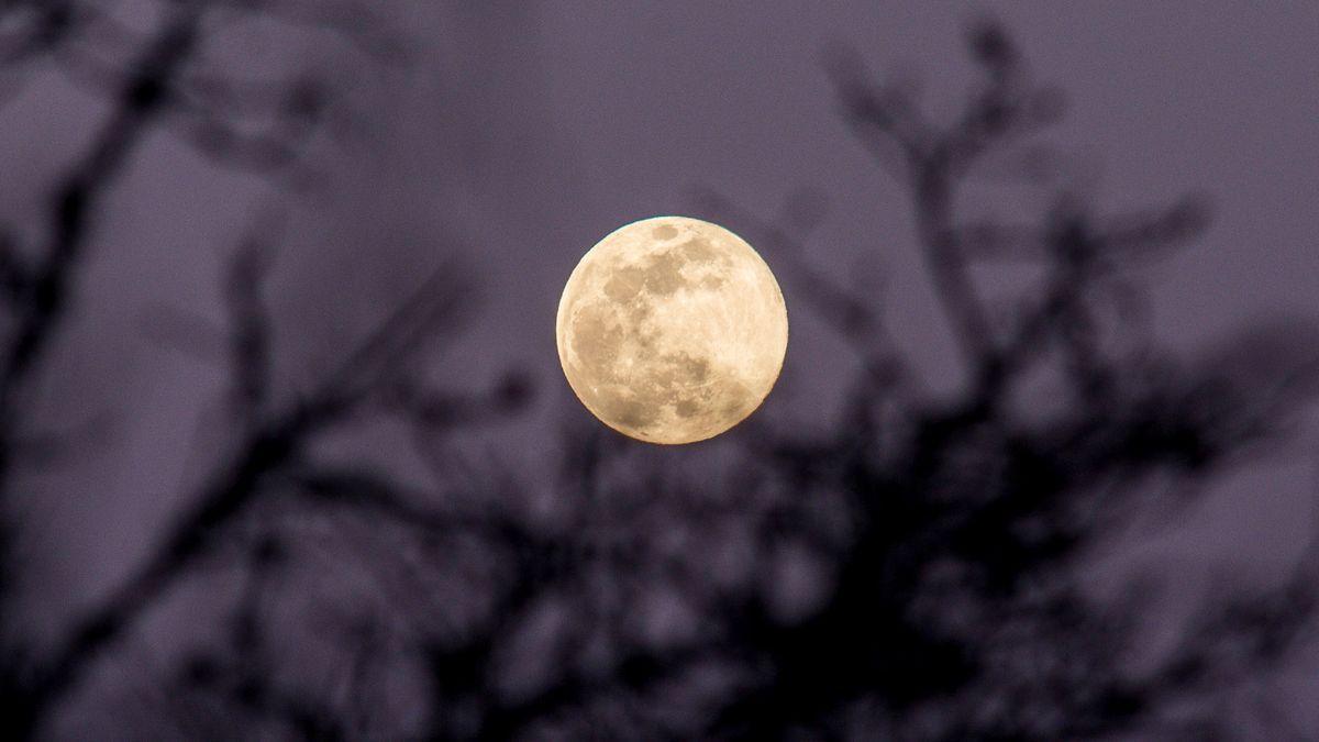 Las Superlunas son un fenómeno astronómico espectacular.