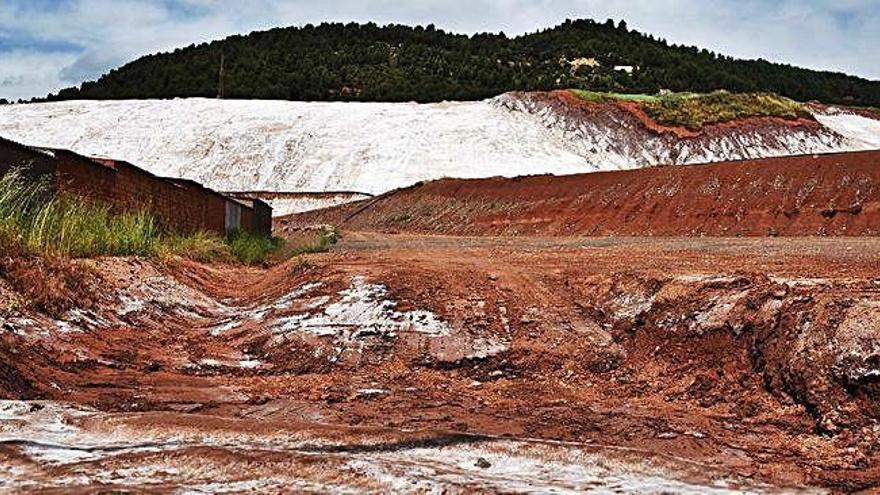 El runam de la Botjosa va quedar inactiu a la dècada dels setanta