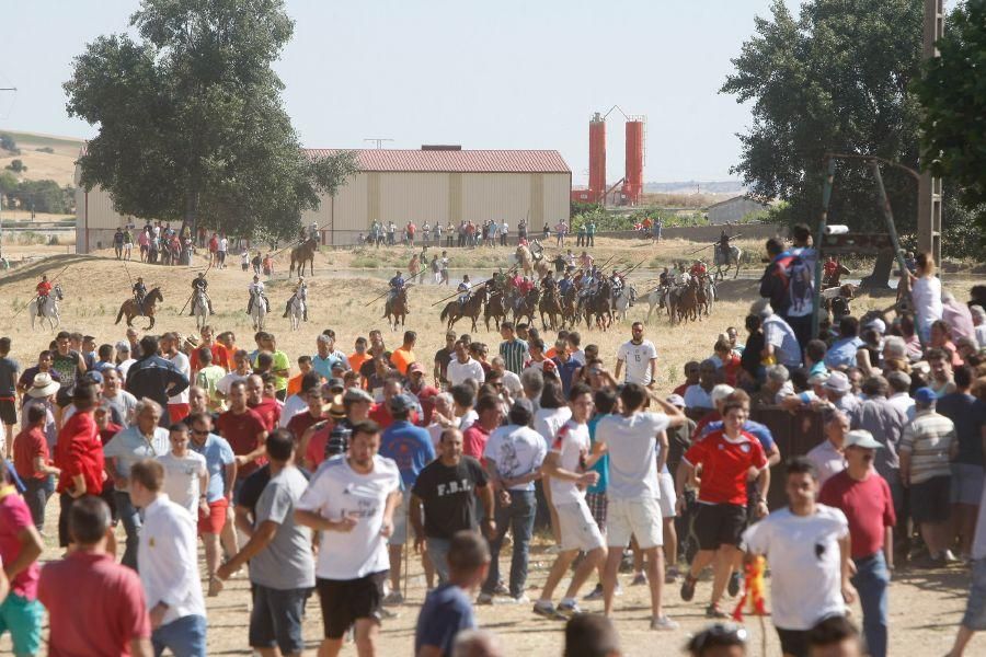 Fiestas en Zamora: Segudos espantes de Fuentesaúco