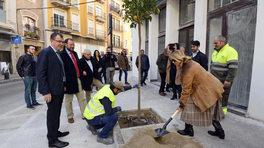 Plantación de nuevos árboles en Murcia