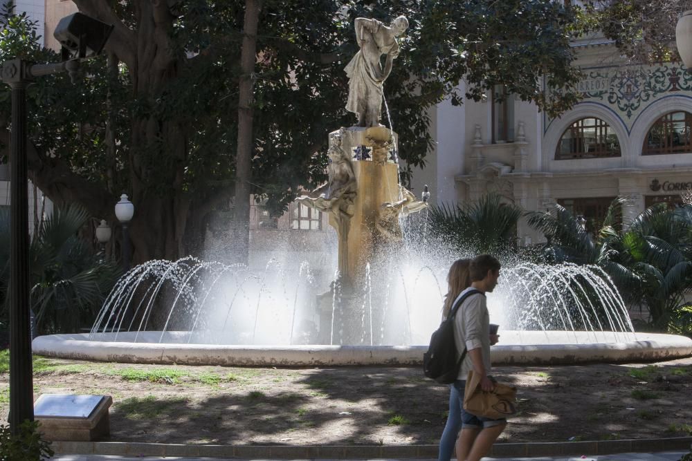 La plaza Gabriel Miró se llena de luz con la llegada de la primavera