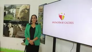 La excelencia ganadera del Merino Precoz de la Diputación de Cáceres