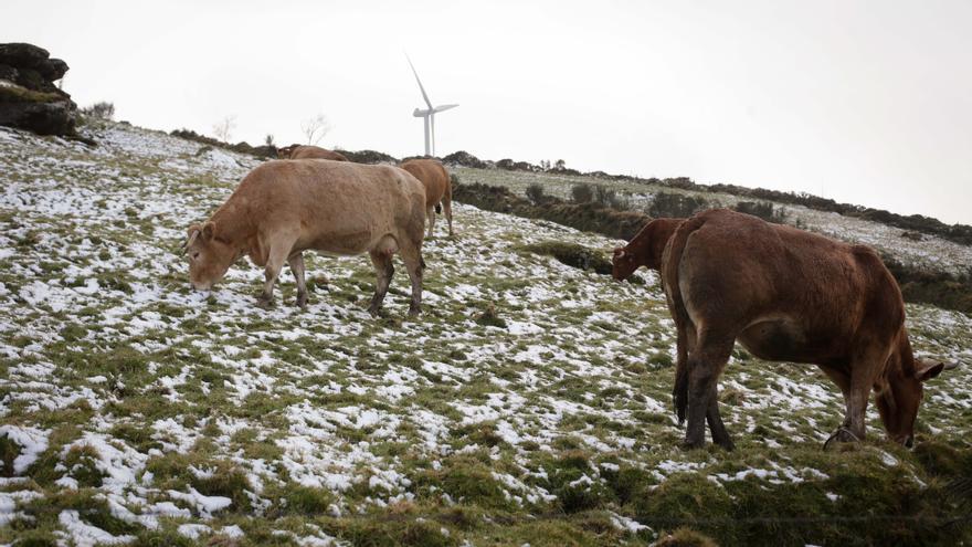 Frío polar en Castellón: ¿Nevará este fin de semana?