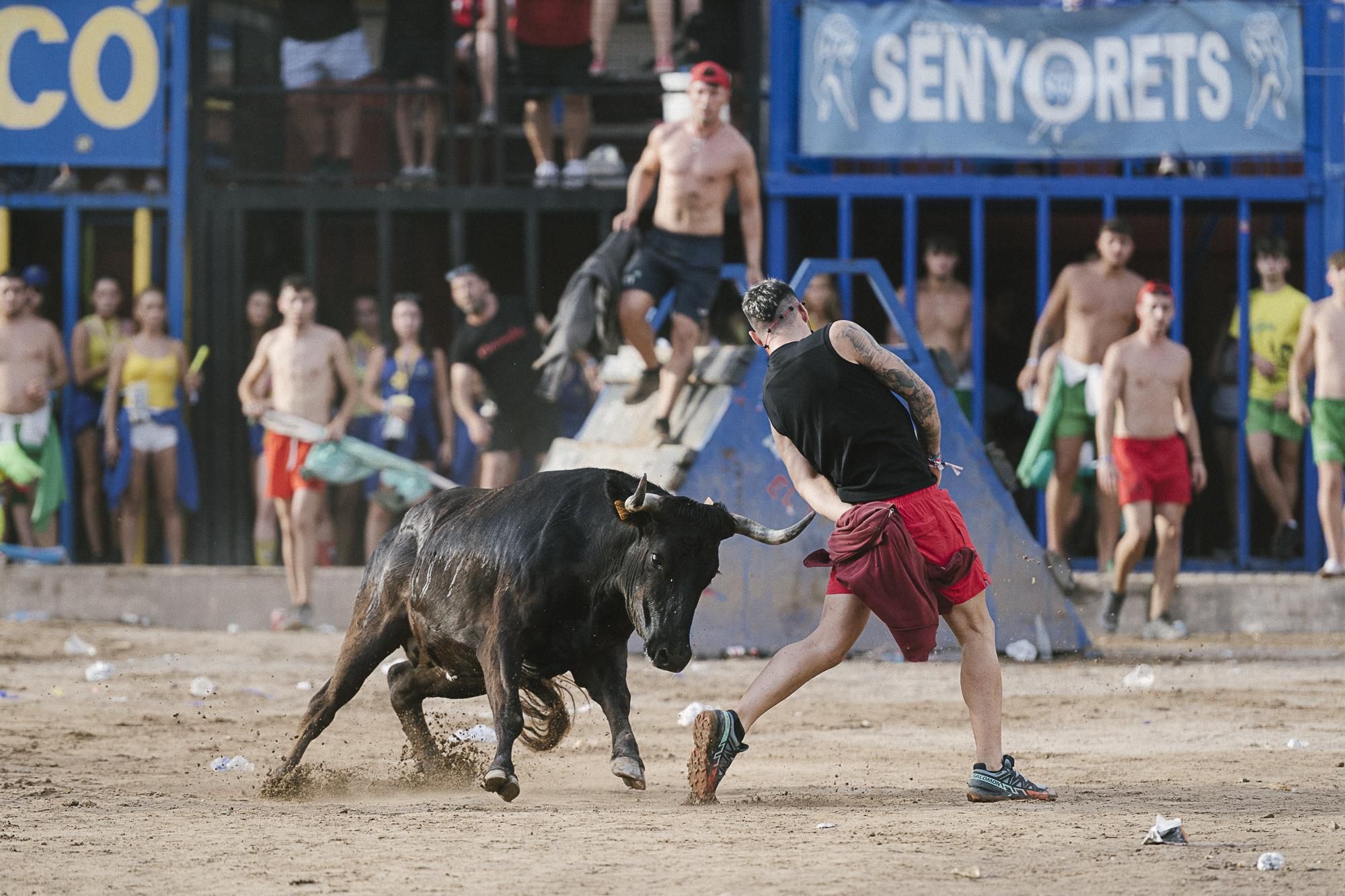 Algunos de los mejores momentos de La Espuela en el concurso de Les Penyes de la Vall
