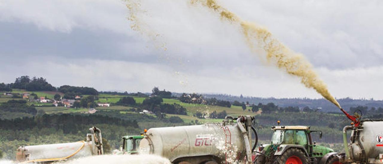 Derraman 130.000 litros de leche en  Frades . // Efe