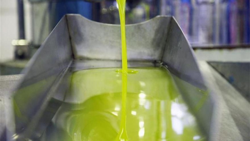 La venta de aceites de oliva caen un 9 % en los 5 primeros meses de campaña