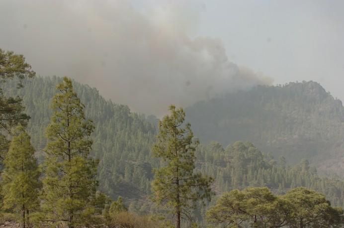 .INCENDIO. EN GRAN CANARIA