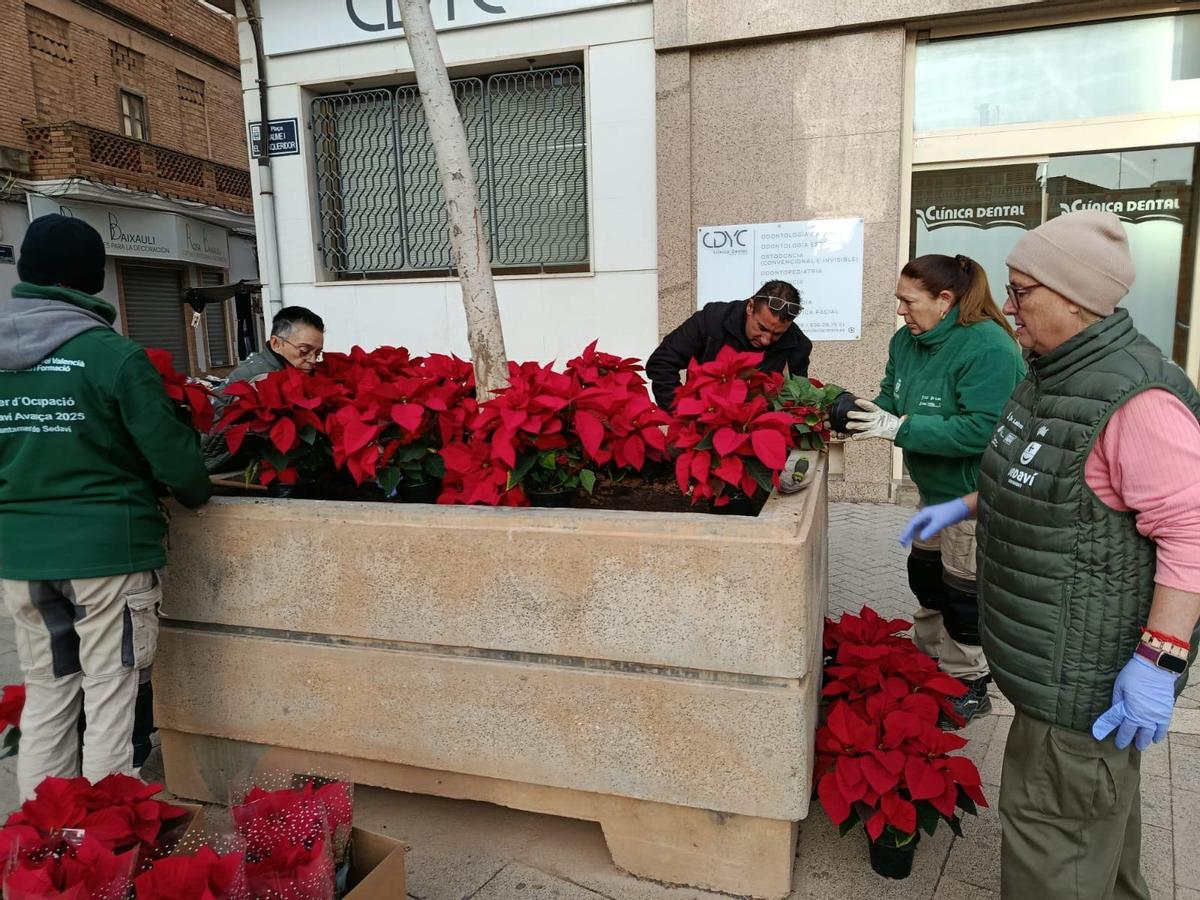 Personas del programa de inserción laboral ACCIÓN INSERTA SEDAVÍ 2025 Y TE SEDAVI AVANÇA 2025. (1)