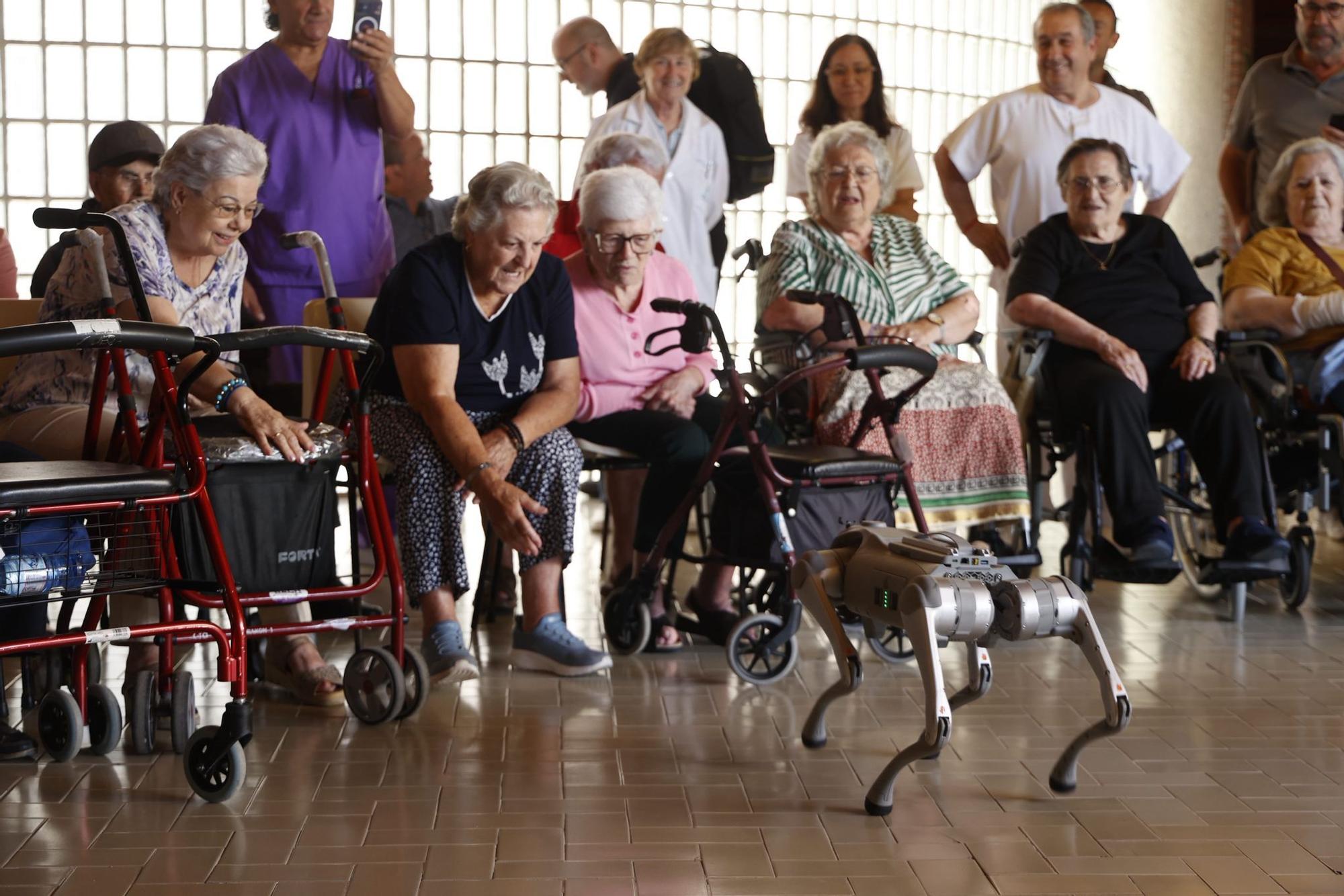 Un humanoide y un perro robot en el Hogar Provincial de Alicante