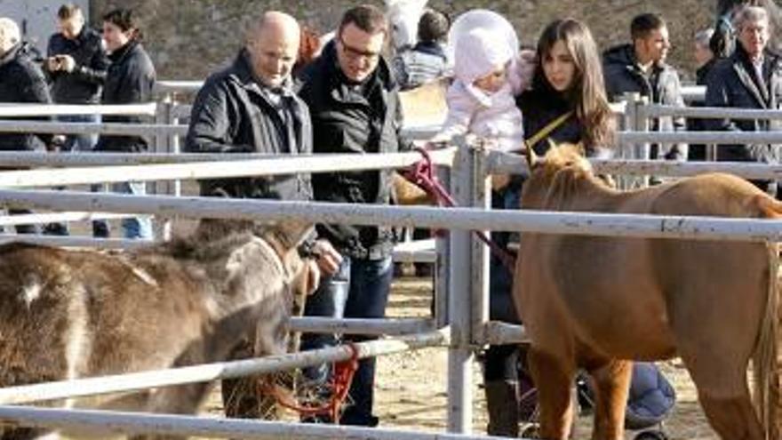 La dona rural pren força a la Fira de Sant Andreu