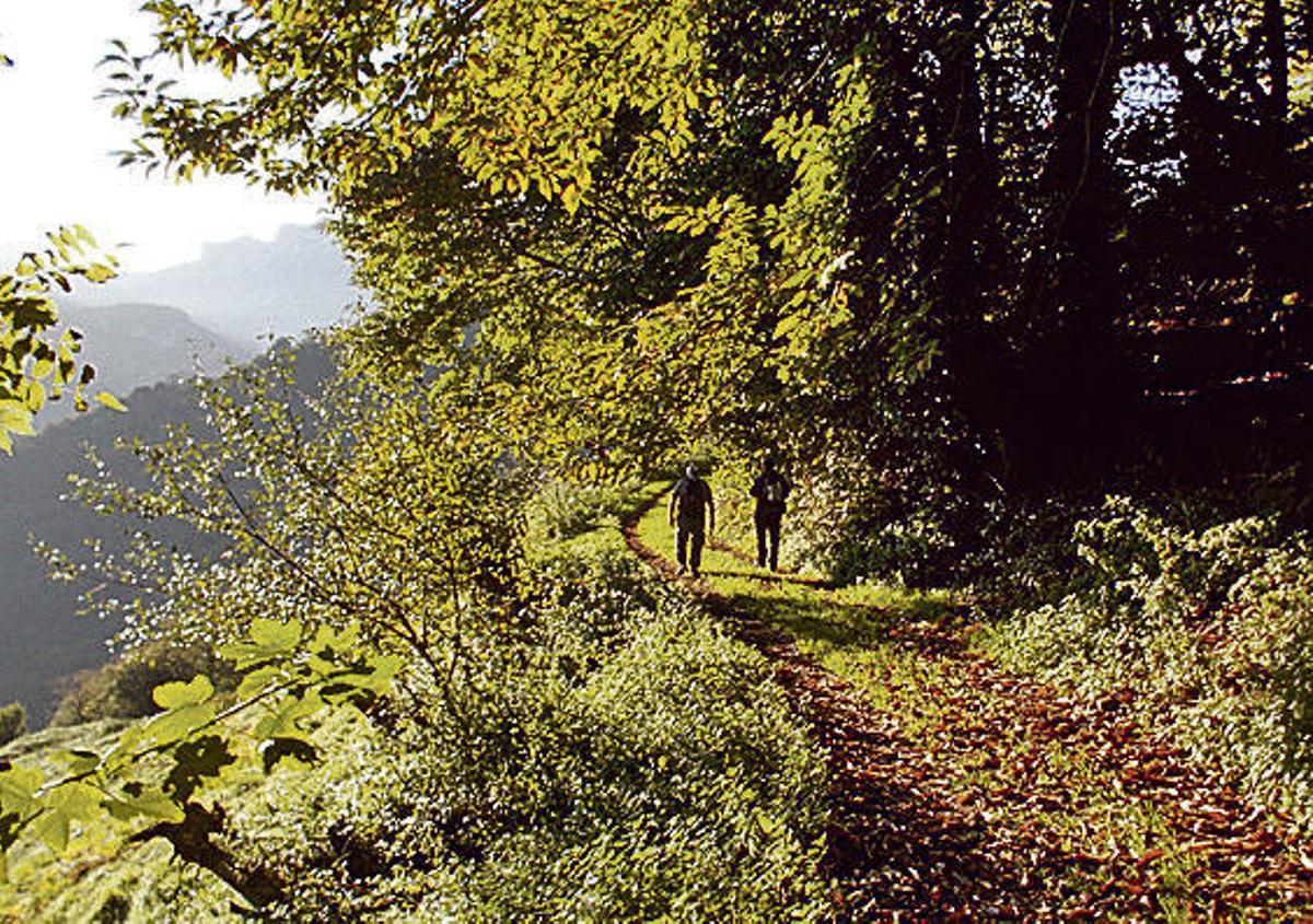 Viaje al origen de los cañones de Trubia