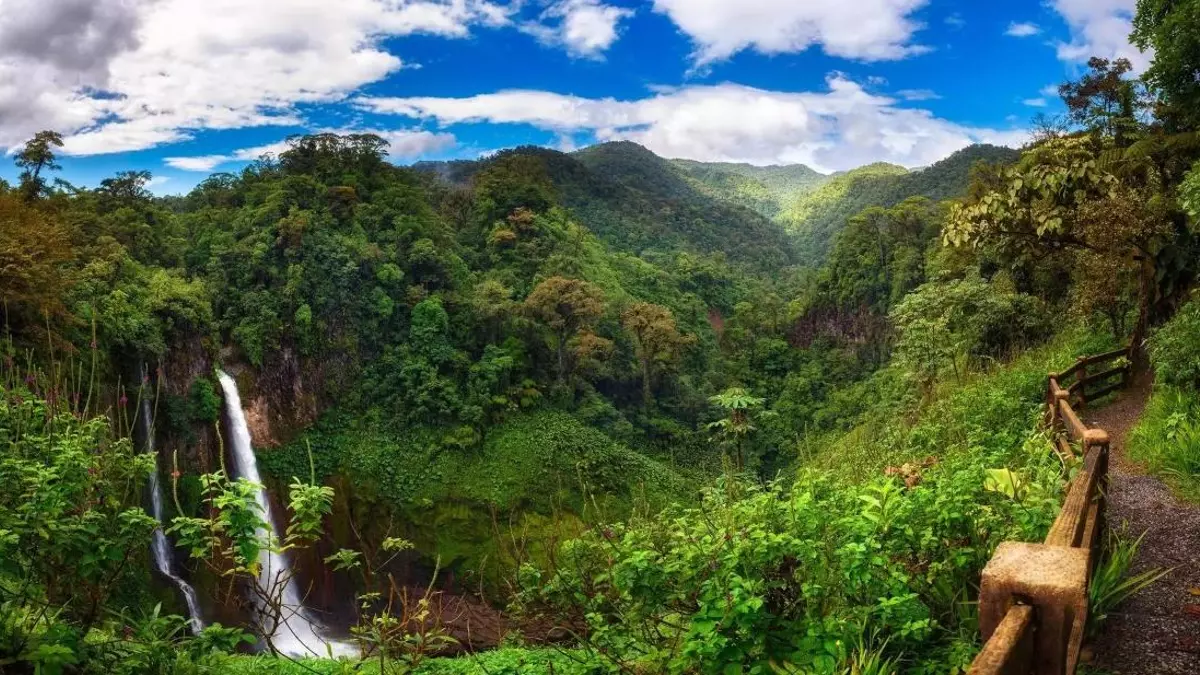 Así puedes compensar la huella de carbono en tu próximo viaje a Costa Rica